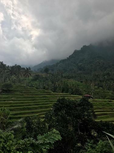 Hostal Omunity Bali
