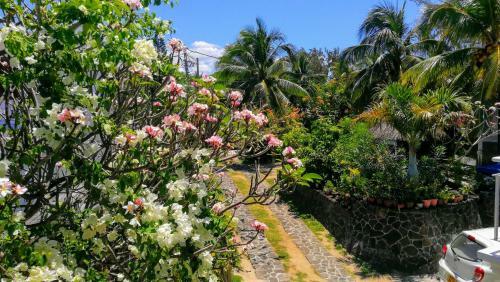 Bed & Breakfast Blue Beryl Guest House