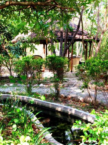 Hotel Jim's Jungle Retreat