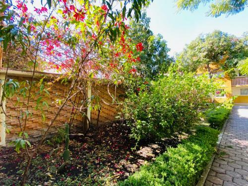Apartamento Suite �nica Renovada C�ntrica Av Zaragoza C14