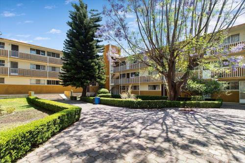 Apartamento C�ntrica Suite Ubicada Av Zaragoza B31