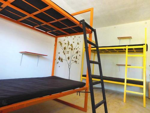 Albergue Chakpool Hostal & Camping