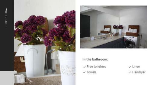 Lodge White Loft,best Location In Polanco W/priv.terrace