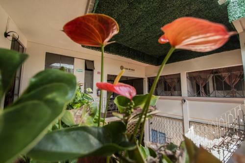 Hotel Casa De Juan Hostal