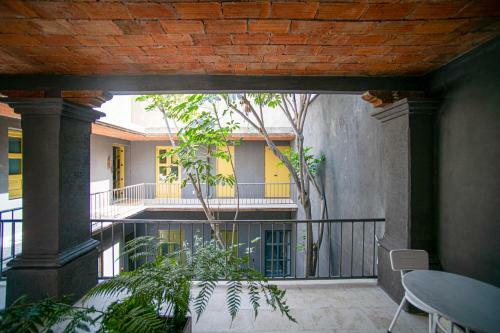 Hotel Pug Seal Oaxaca