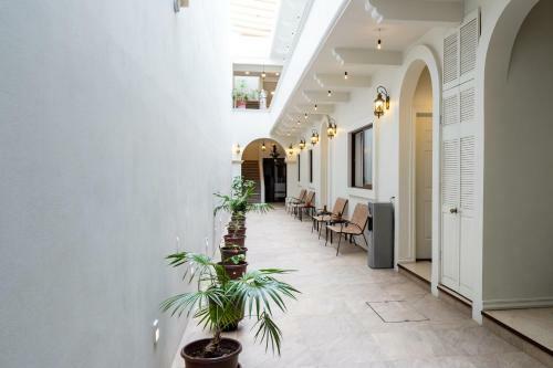 Apartamento La Casa De Pino