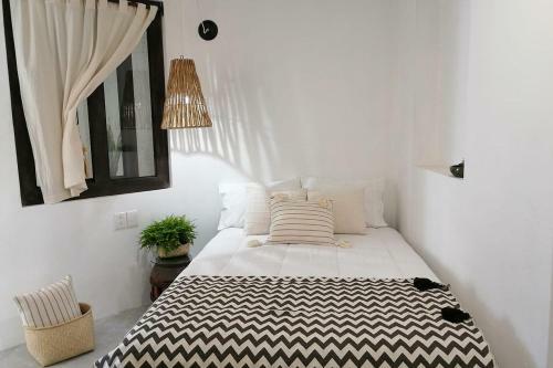 Hotel Casa Olivia Oaxaca