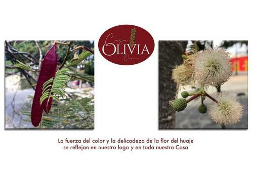Hotel Casa Olivia Oaxaca