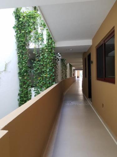 Apartamento Ocean Front El Faro Reef 304