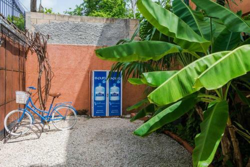 Apartamento Sunny Studio W/ King- Near 5th Ave & Coco Beach