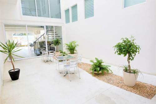 Hotel Pavo Real City - Playa Del Carmen