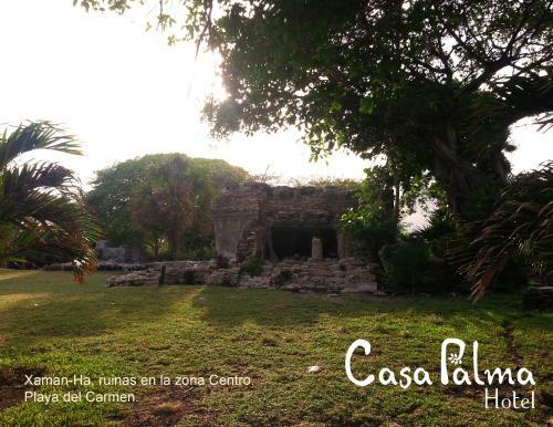Casa Palma Hotel