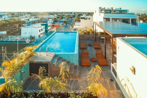 Playa 4020 Apartments With Rooftop Pool Near 5th And Beach