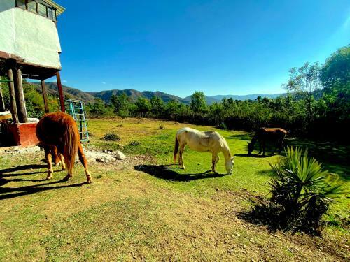 Rancho El Reencuentro Eco-hotel
