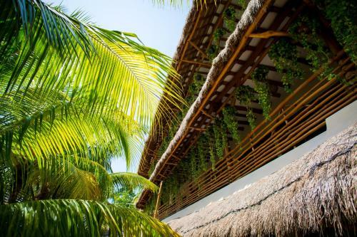 Hotel Tropical Suites By Mij