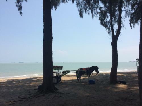 Apartamento Porte Bleue Pantai Puteri