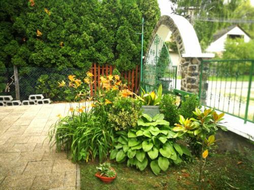 Hostal Gy�ngyvir�g H�z