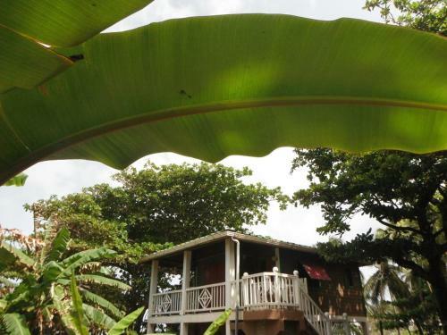 Treehouse At Lodge At Long Bay