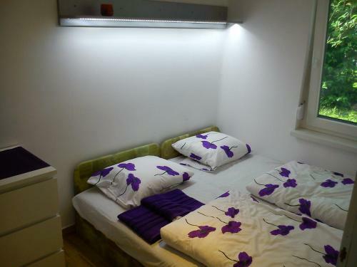 Judit Apartman