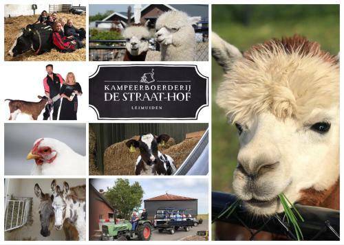 Bed & Breakfast Herberg Boerderij de Straat-hof