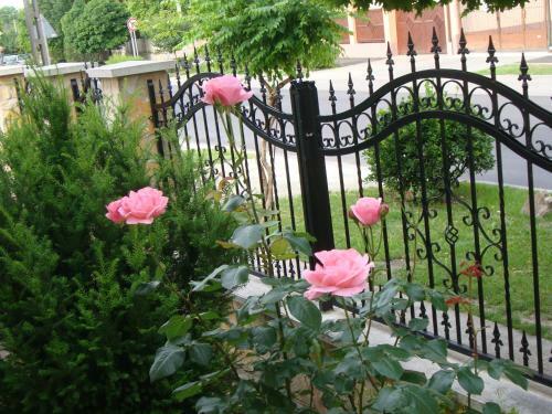Apartamento K�tai Vend�gh�z