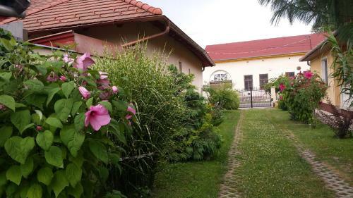 Apartamento K�tai Vend�gh�z
