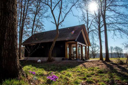 Dream-house Esveld