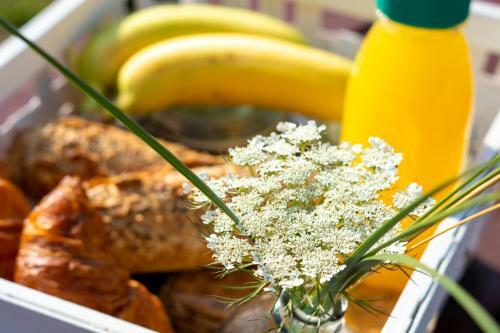 Surfana Beach Hostel Bed & Breakfast Vlieland
