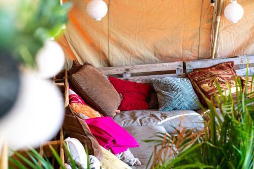 Surfana Beach Hostel Bed & Breakfast Vlieland