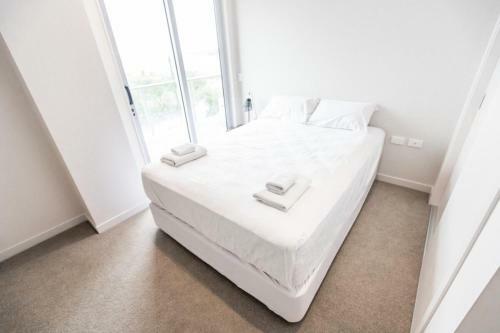 Large Four Bdr Apartment - Walk To Mallstadium
