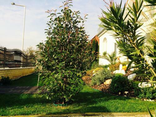 Bed & Breakfast Judit Vend�gh�z