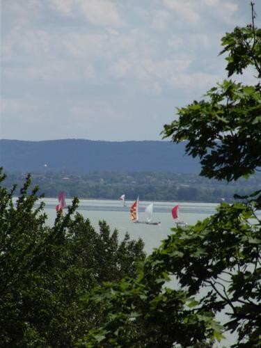 Hotel Sir David Balaton Castle