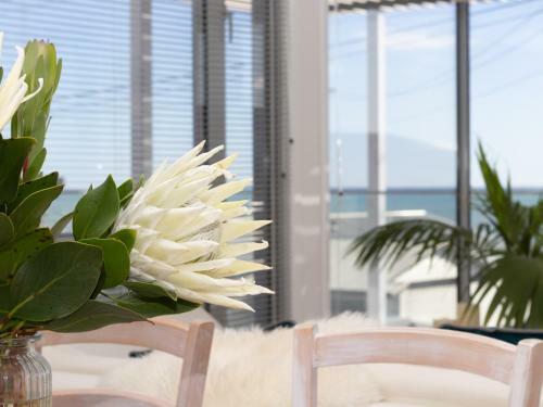 The Ocean Outlook - Pure Luxury