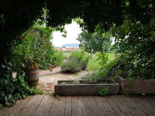 Hostal Koczor Winery & Guesthouse