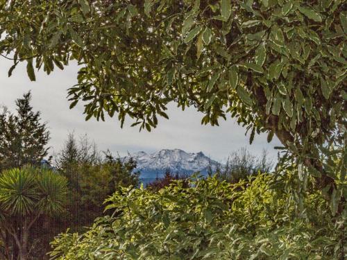 Wyllie Estate - Ohakune Holiday Home