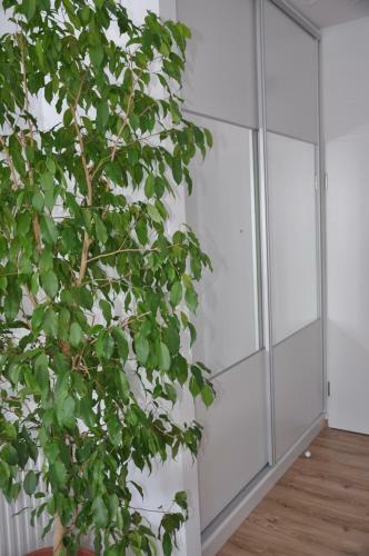 Glamour Apartman