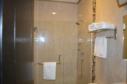 Hotel Crowner David