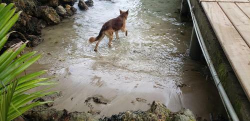 Calipso Over The Sea B&B