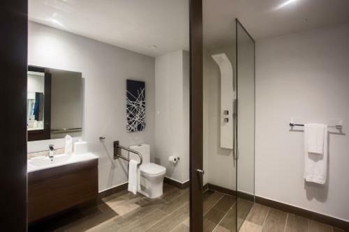 Hotel Hampton By Hilton David, Panam�