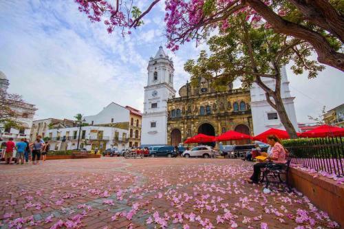 Apartamento Amazing Suite In Casco Antiguo