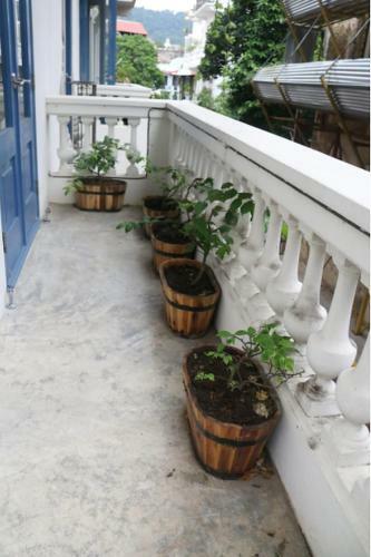 Apartamento El Hombre de La Mancha By The Perfect-host