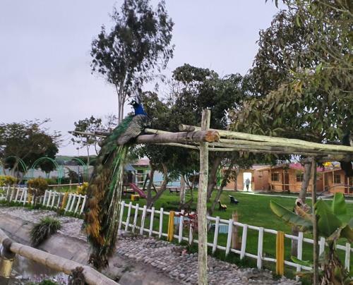 Albergue Apart Hotel El Para�so de Barranca