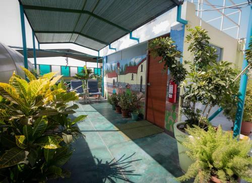 Albergue Mama Backpackers