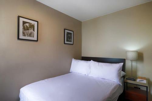 Apartamento Charming 3br And Ocean View