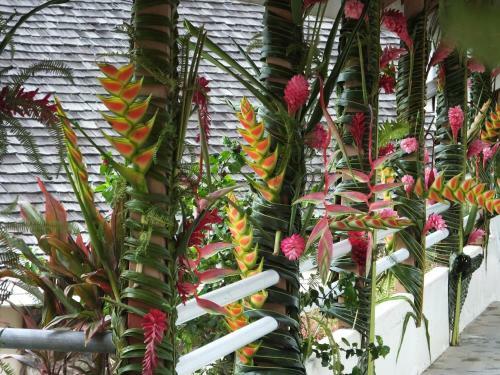 Hotel Tiki H�tel
