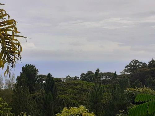 Tahiti - Peace Retreat
