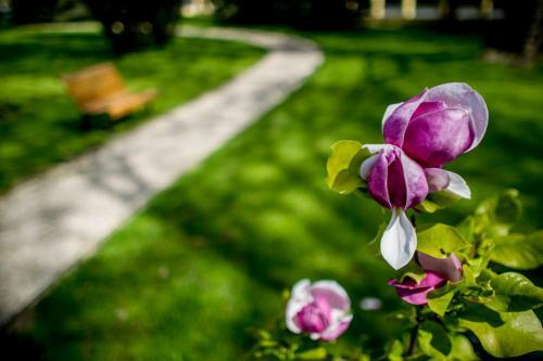 Hotel Batthy�ny K�ria