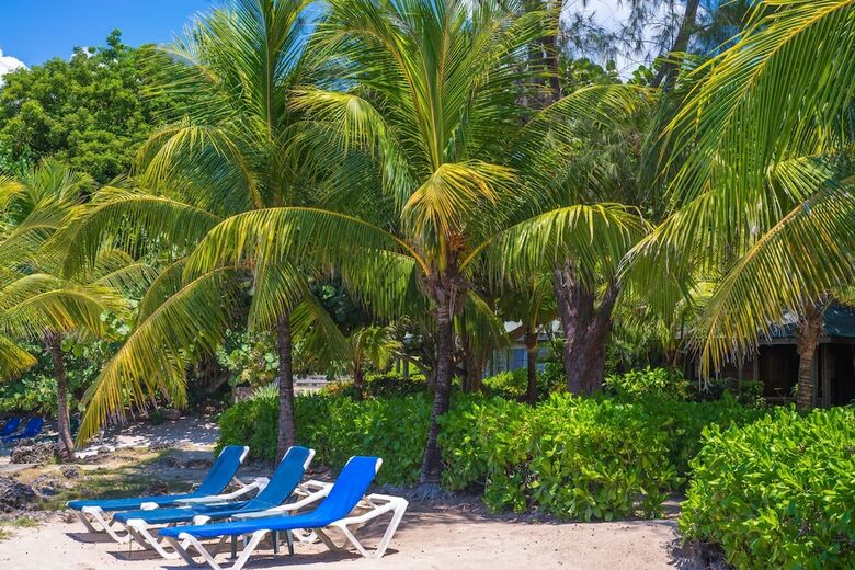 Hotel Las Rocas Resort And Dive Center