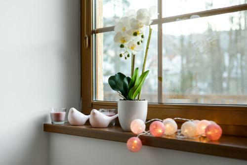 Apartament Centrum Karpacz