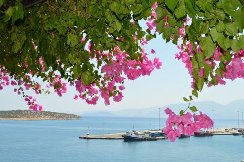 Angeliki's Apartments